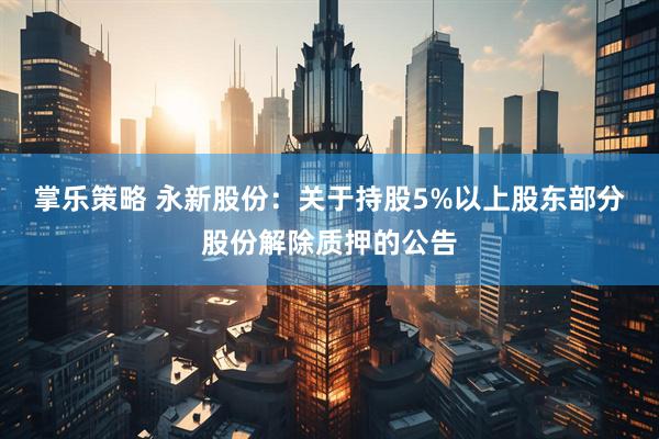掌乐策略 永新股份：关于持股5%以上股东部分股份解除质押的公告