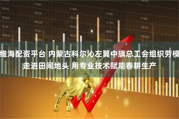 维海配资平台 内蒙古科尔沁左翼中旗总工会组织劳模走进田间地头 用专业技术赋能春耕生产